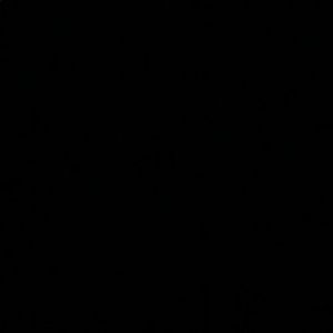 Meet your Posher, Payton